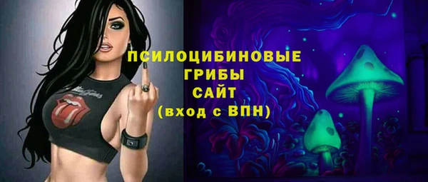 гидропоника Карпинск