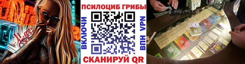 Купить где  Юрга  Псилоцибиновые грибы Magic Shrooms